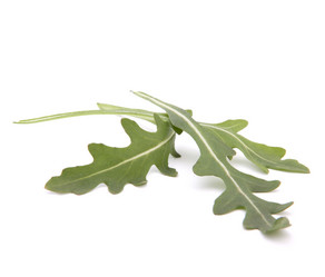 Similar image 5488385