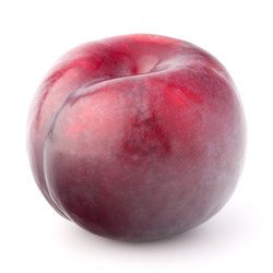 Similar image 5488398