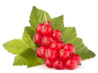 Similar image 5488400