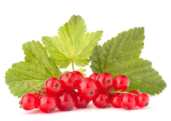 Similar image 5488408