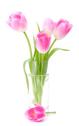 Similar image 5488416