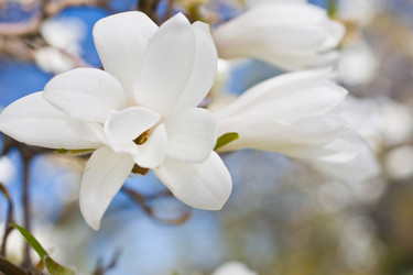 Similar image 5488420