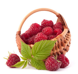 Similar image 5488426