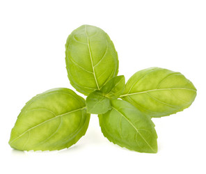 Similar image 5488451