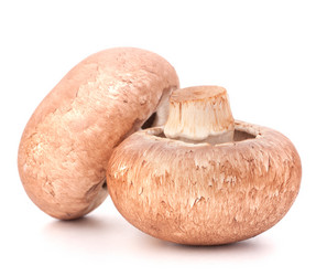 Similar image 5488473