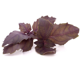 Similar image 5488489