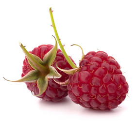 Similar image 5488499