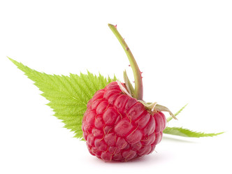 Similar image 5488519