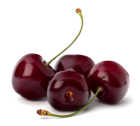 Similar image 5488529