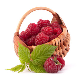 Similar image 5488531