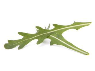 Similar image 5488532