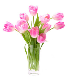 Similar image 5488542