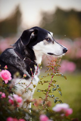 Similar image 5488559