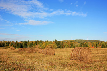 Similar image 5488581