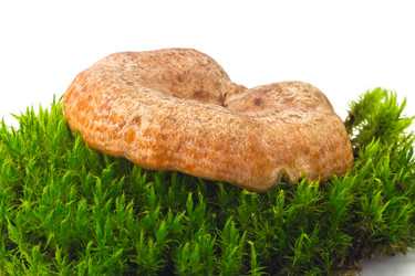 Similar image 5488641