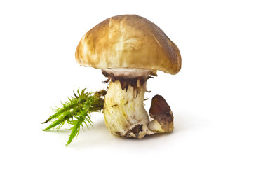 Similar image 5488644