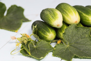 Similar image 5488650