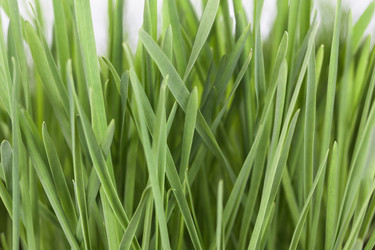 Similar image 5488661