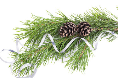 Similar image 5488665