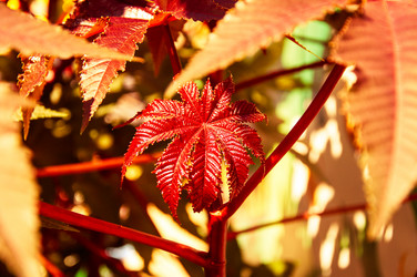 Similar image 5488683