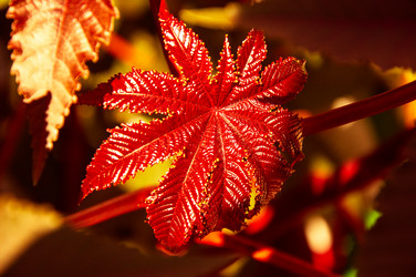 Similar image 5488685