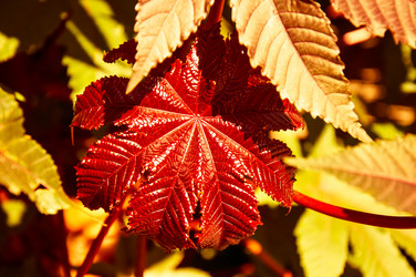 Similar image 5488686