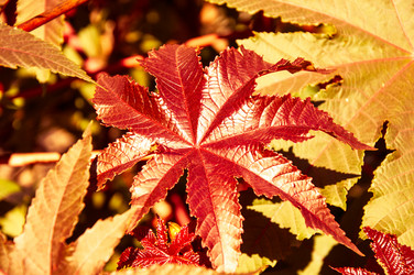 Similar image 5488687