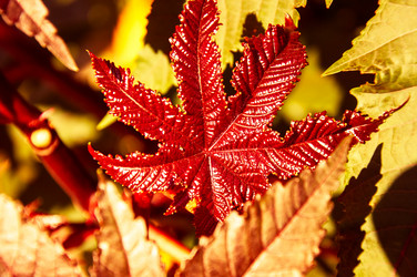 Similar image 5488712