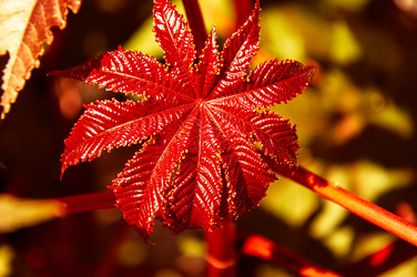 Similar image 5488713