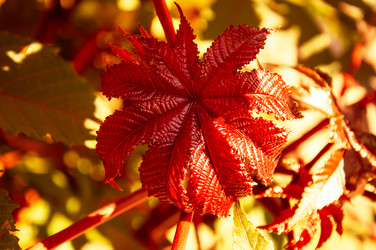 Similar image 5488714