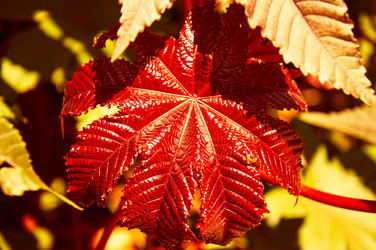 Similar image 5488715