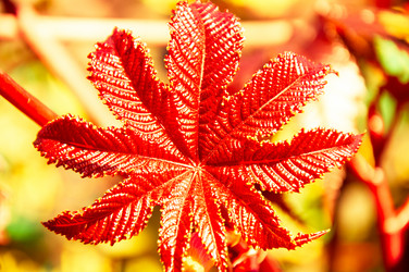 Similar image 5488717