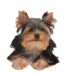 Similar image 5488738