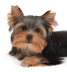 Similar image 5488740