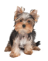 Similar image 5488745