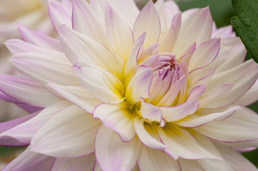 Similar image 5488749