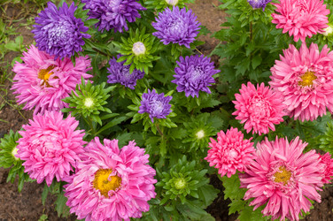 Similar image 5488750