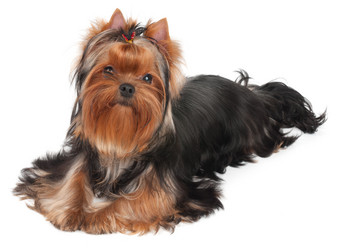 Similar image 5488753