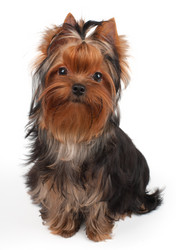 Similar image 5488755