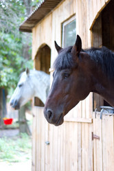 Similar image 5488795