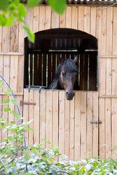 Similar image 5488796