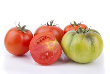 Similar image 5488813