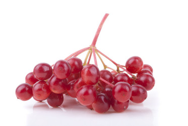 Similar image 5488823