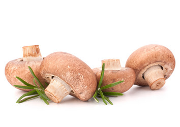 Similar image 5488967