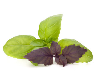 Similar image 5488979