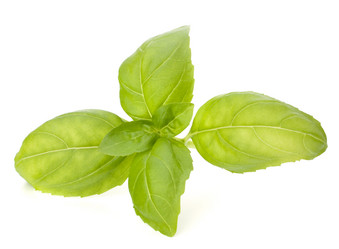 Similar image 5488982