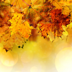 Similar image 5489009