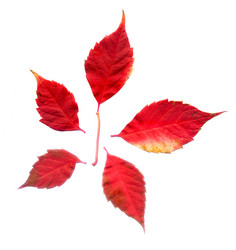 Similar image 5489012