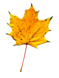 Similar image 5489013