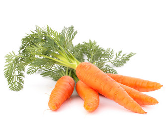 Similar image 5489023